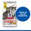 Hill's Science Plan Perfect Digestion Kitten Pienso para gatos, , large indicador imagen numero 4